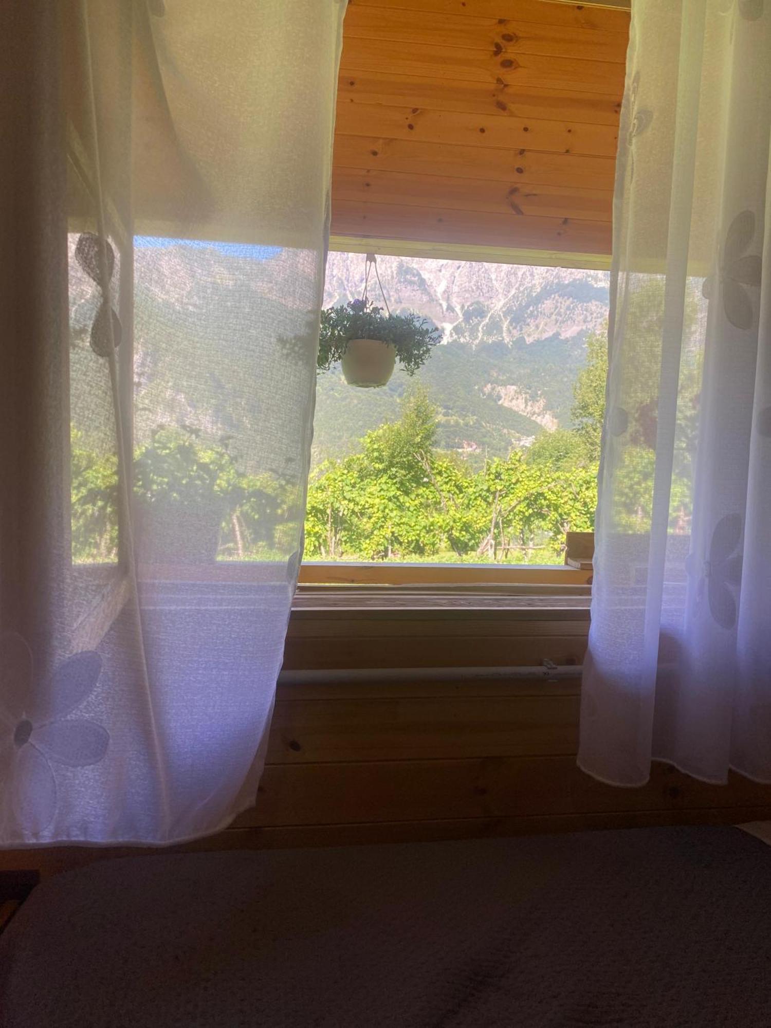 Bujtina Shkambi Hotel Theth Kültér fotó